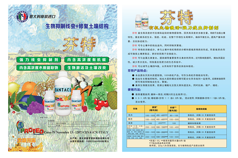 Commercial Printing - Single-Page Flyers